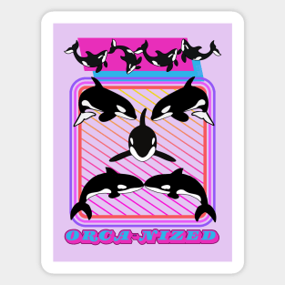 Orca-Nized Sticker